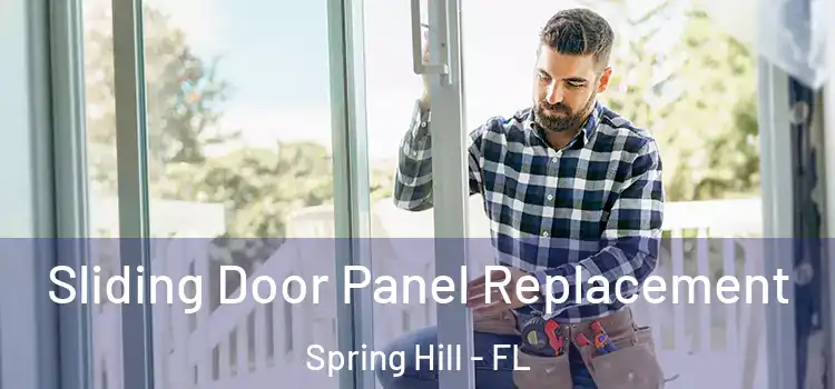  Sliding Door Panel Replacement Spring Hill - FL