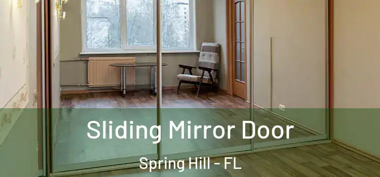  Sliding Mirror Door Spring Hill - FL