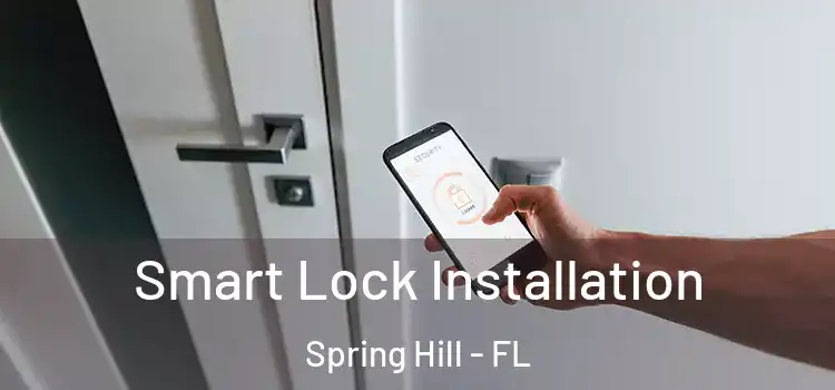  Smart Lock Installation Spring Hill - FL