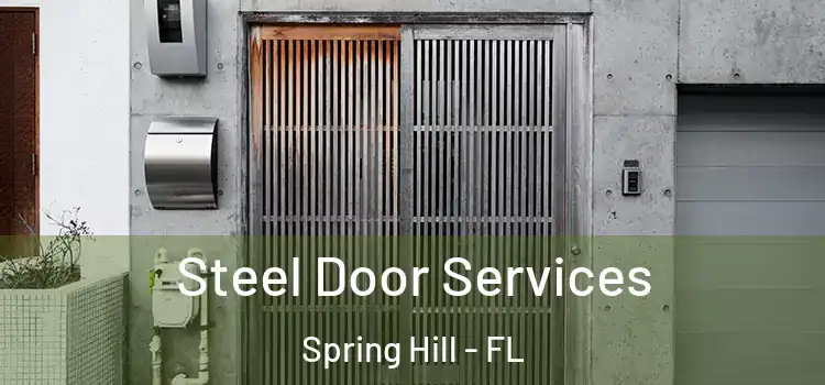 Steel Door Services Spring Hill - FL