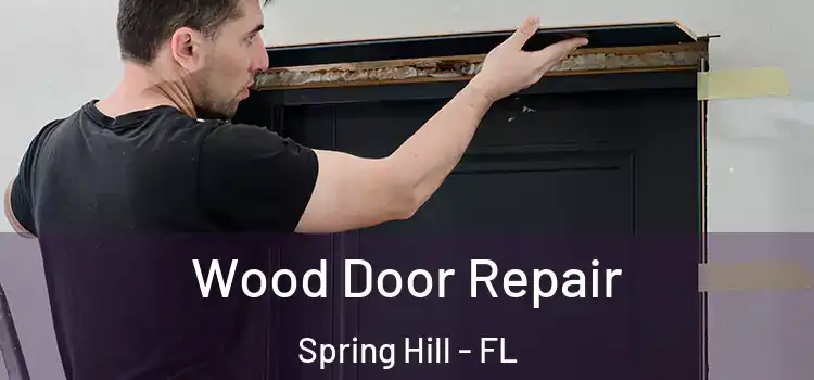 Wood Door Repair Spring Hill - FL