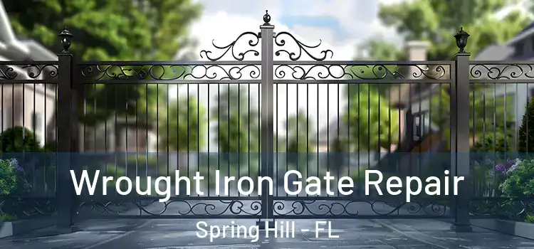  Wrought Iron Gate Repair Spring Hill - FL